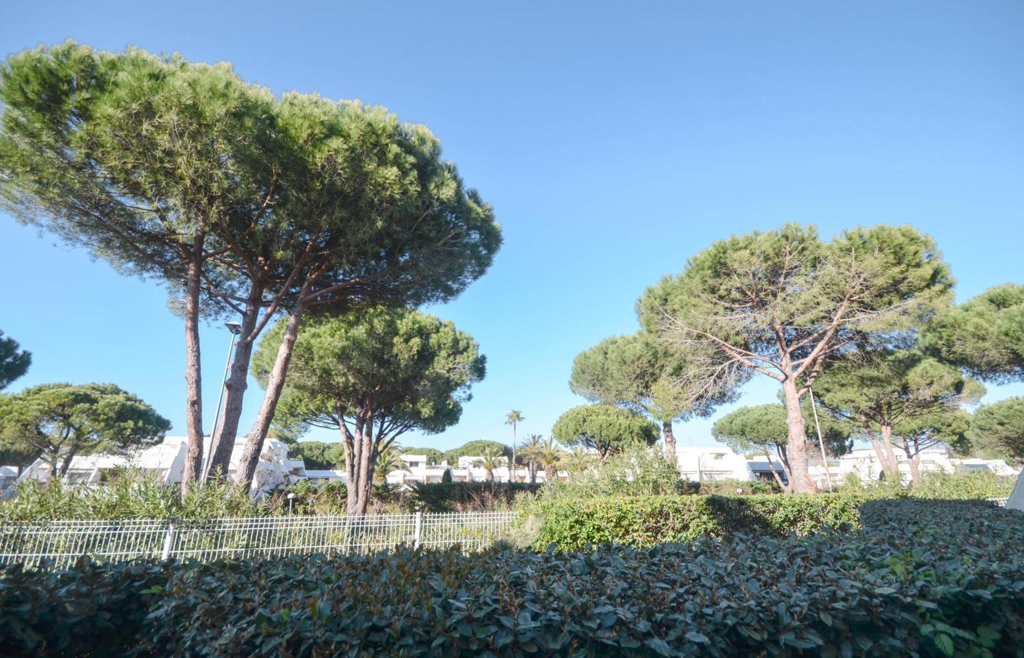 Chez Adeline - Confortable Avec Piscine Et Parking Apartment *